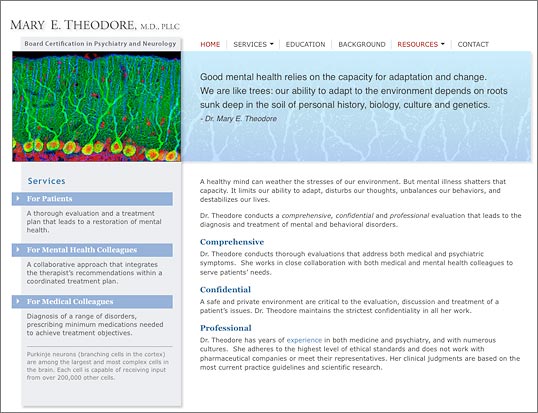 Dr. Mary Theodore web page